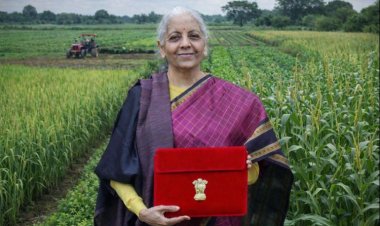 कृषि क्षेत्र से जुड़ी प्रमुख बजट घोषणाएं: जानिए बजट में किसानों को क्या मिला