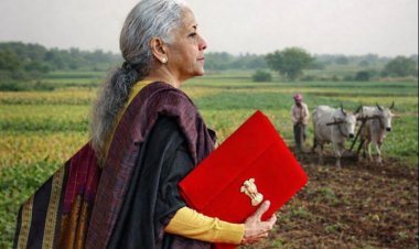 कृषि के बजट आंकड़ों के मामूली फेरबदल तक सीमित, कई योजनाओं के खर्च में कटौती