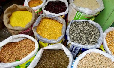 भारत-अमेरिका व्यापार समझौते में 'कुछ दालें' भी शामिल, अमेरिका ने जारी की 'फैक्ट शीट'