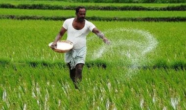 उत्तर प्रदेश में गैर-सब्सिडी उर्वरकों की बिक्री पर प्रतिबंध, बढ़ी उद्योग की मुश्किलें