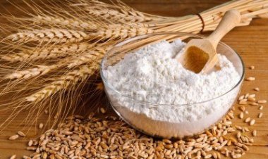 सरकार ने 25 लाख टन गेहूं निर्यात की अनुमति दी, लेकिन निर्यात पर प्रतिबंध की नीति जारी