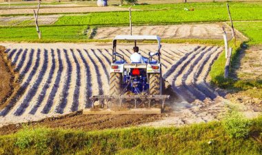 मजबूत जीडीपी के बावजूद कृषि क्षेत्र में धीमी ग्रोथ, ग्रामीण अर्थव्यवस्था में सुस्ती का संकेत