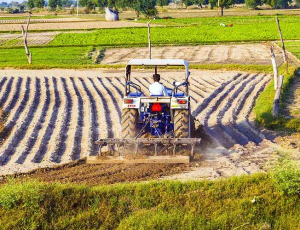 मजबूत जीडीपी के बावजूद कृषि क्षेत्र में धीमी ग्रोथ, ग्रामीण अर्थव्यवस्था में सुस्ती का संकेत