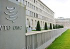 WTO MC14: गहराते मतभेदों के कारण प्रमुख व्यापारिक मुद्दों पर गतिरोध बने रहने के आसार