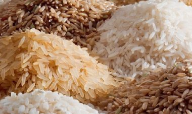 ईरान संकट से चावल निर्यात प्रभावित, मालभाड़ा और बीमा लागत बढ़ने के बीच निर्यातकों ने सरकार से की तत्काल राहत की मांग