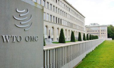 WTO MC14: गहराते मतभेदों के कारण प्रमुख व्यापारिक मुद्दों पर गतिरोध बने रहने के आसार