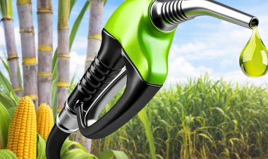 संकट में याद आया इथेनॉल, पेट्रोल में मिश्रण 30 फीसदी तक बढ़ाने की मांग ने जोर पकड़ा