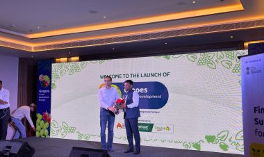 देहात ने नासिक में एनएचबी के साथ शुरू किया अंगूर क्लस्टर विकास कार्यक्रम