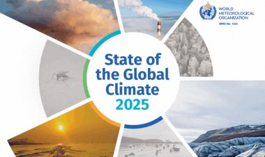 विश्व मौसम विज्ञान संगठन की चेतावनी: पृथ्वी का जलवायु असंतुलन वैश्विक खाद्य सुरक्षा और कृषि के लिए खतरा