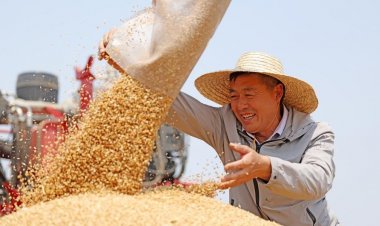 चीन में 2026-27 के दौरान अनाज उत्पादन बढ़ने का अनुमान, खाद्य सुरक्षा के लिए सोयाबीन आयात भी बढ़ाएगा