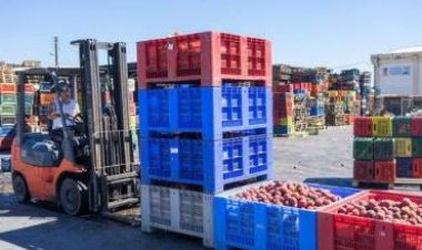 डब्ल्यूटीओ के कृषि व्यापार नियमों में बड़े बदलाव की मांग, विशेषज्ञ समूह ने दिए अपने सुझाव