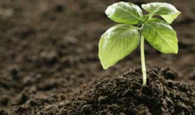 जैव उर्वरकों की बिक्री के लिए पैकेट के वजन की सीमा निर्धारित, कृषि मंत्रालय ने जारी की अधिसूचना