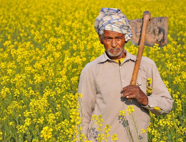 फिर शुरू हुई किसान कर्ज माफी, महाराष्ट्र की 35,000 करोड़ रुपये की घोषणा से क्रेडिट अनुशासन पर बहस तेज
