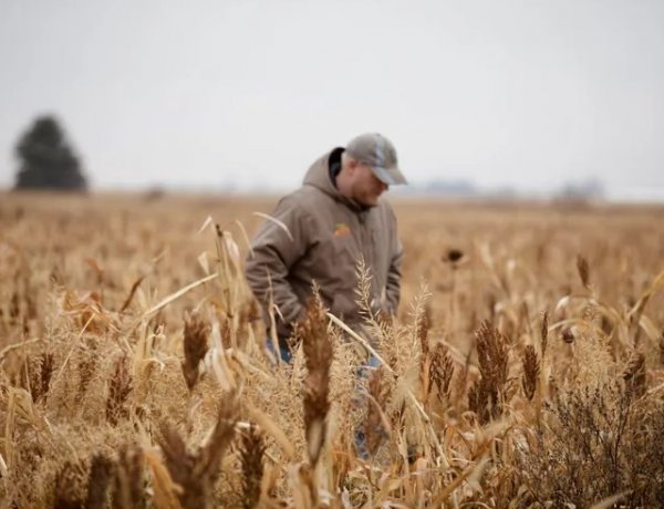 अमेरिका में आठ वर्षों बाद नए फार्म बिल की दिशा में कदम; कीटनाशक, एथेनॉल और फूड एड प्रावधानों पर बहस तेज