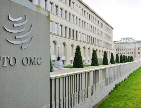 WTO MC14: गहराते मतभेदों के कारण प्रमुख व्यापारिक मुद्दों पर गतिरोध बने रहने के आसार