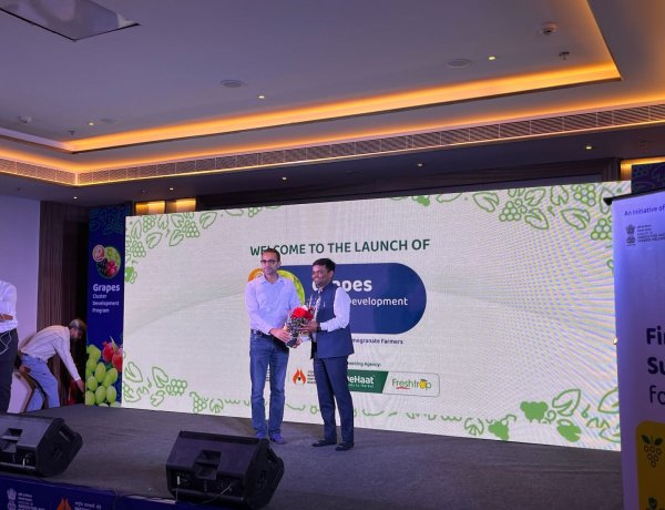 देहात ने नासिक में एनएचबी के साथ शुरू किया अंगूर क्लस्टर विकास कार्यक्रम