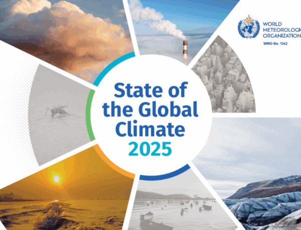 विश्व मौसम विज्ञान संगठन की चेतावनी: पृथ्वी का जलवायु असंतुलन वैश्विक खाद्य सुरक्षा और कृषि के लिए खतरा