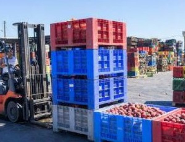 डब्ल्यूटीओ के कृषि व्यापार नियमों में बड़े बदलाव की मांग, विशेषज्ञ समूह ने दिए अपने सुझाव