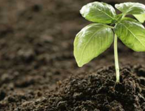 जैव उर्वरकों की बिक्री के लिए पैकेट के वजन की सीमा निर्धारित, कृषि मंत्रालय ने जारी की अधिसूचना