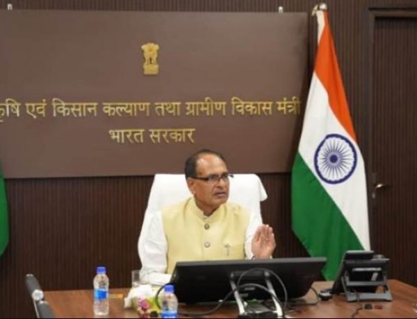 तीन राज्यों में एमएसपी पर 11,698 करोड़ रुपये की दलहन-तिलहन खरीद को मंजूरी, इसमें से 9,341 करोड़ सिर्फ यूपी के लिए