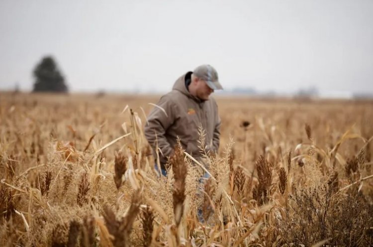अमेरिका में आठ वर्षों बाद नए फार्म बिल की दिशा में कदम; कीटनाशक, एथेनॉल और फूड एड प्रावधानों पर बहस तेज