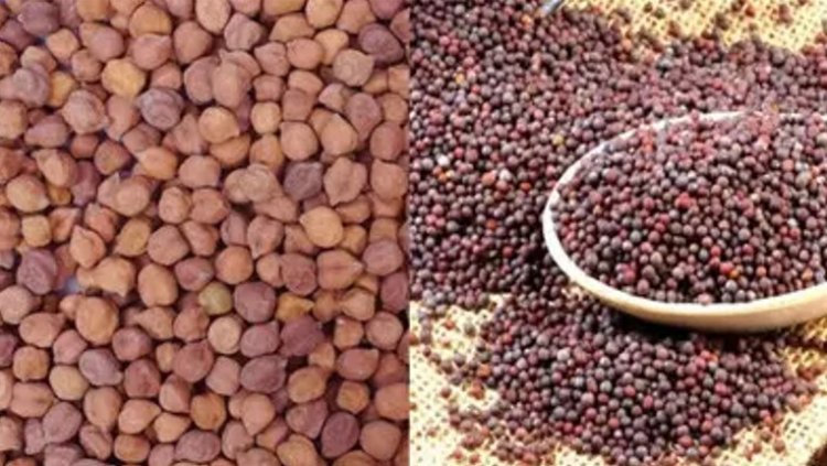 राजस्थान में सरसों एवं चना की समर्थन मूल्य पर खरीद का कार्यक्रम तय, कुछ जिलों में 25 मार्च से तो कुछ में 1 अप्रैल से शुरू होगी खरीद