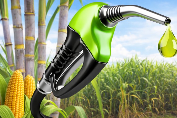 संकट में याद आया इथेनॉल, पेट्रोल में मिश्रण 30 फीसदी तक बढ़ाने की मांग ने जोर पकड़ा
