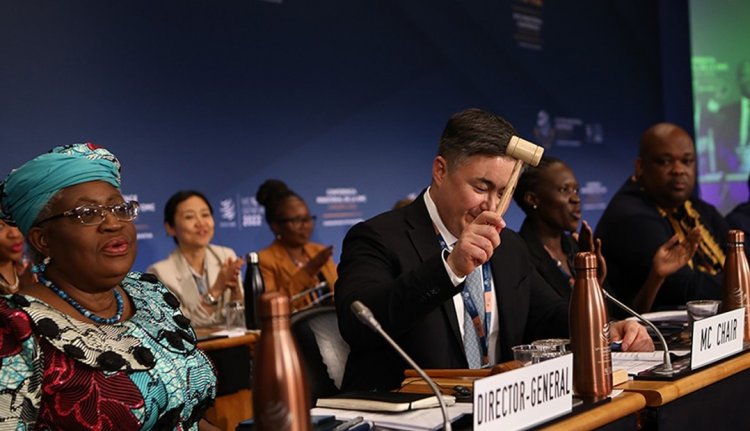 MC14: डब्ल्यूटीओ का 14वां मंत्रिस्तरीय सम्मेलन आज से, पीयूष गोयल करेंगे भारतीय प्रतिनिधिमंडल का नेतृत्व