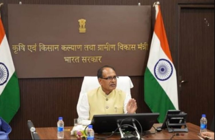 तीन राज्यों में एमएसपी पर 11,698 करोड़ रुपये की दलहन-तिलहन खरीद को मंजूरी, इसमें से 9,341 करोड़ सिर्फ यूपी के लिए