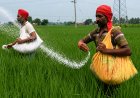 उर्वरक बिक्री को नियंत्रित करने की तैयारी, हरियाणा और तेलंगाना से होगी 'नेशनल फ्रेमवर्क' की शुरुआत