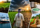चौतरफा चुनौतियों से घिरा खरीफ सीजन, ICRA ने जताई कृषि GVA घटने की आशंका