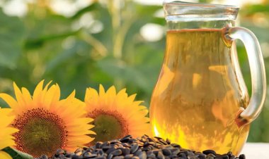 भू-राजनीतिक तनाव के बीच भारत में सूरजमुखी तेल की खपत में 10% गिरावट की आशंका