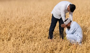 बारिश और ओलावृष्टि से कई राज्यों में फसलों को नुकसान, किसानों को मुआवजे की मांग