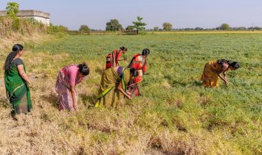 कांग्रेस नेता नरेश कुमार का दिल्ली की मुख्यमंत्री रेखा गुप्ता पर निशाना, कहा किसानों के मुद्दों पर दोहरा रवैया अपना रही हैं सीएम