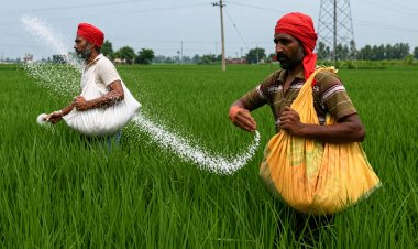 उर्वरक बिक्री को नियंत्रित करने की तैयारी, हरियाणा और तेलंगाना से होगी 'नेशनल फ्रेमवर्क' की शुरुआत