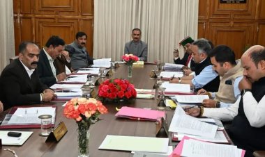 हिमाचल प्रदेश में प्राकृतिक खेती वाली फसलों का समर्थन मूल्य बढ़ा, गेहूं का एमएसपी 80 रुपये प्रति किलो