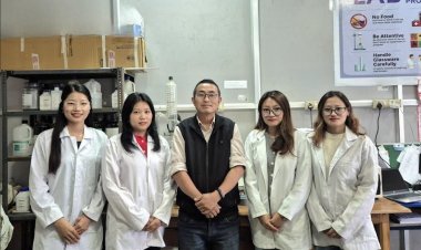 दवाओं, एंटीबैक्टीरियल और कैंसर अनुसंधान में मददगार बना एक खरपतवार