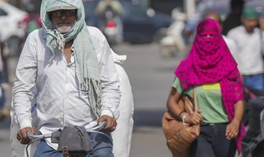 तापमान 44.5 डिग्री तक पहुंचा, मौसम विभाग ने गर्मी के संबंध में व्यापक दिशानिर्देश जारी किए
