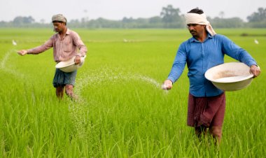 उर्वरक खपत घटाने पर जोर: देशव्यापी मैपिंग पूरी, किसान आईडी के जरिये डायवर्जन रोकने की तैयारी
