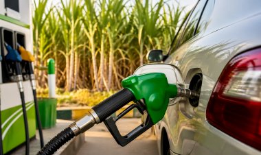 भारत में 100% इथेनॉल, बायोडीजल पर दौड़ सकेंगी गाड़ियां, नियमों में बदलाव का ड्राफ्ट जारी