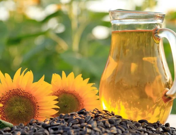 भू-राजनीतिक तनाव के बीच भारत में सूरजमुखी तेल की खपत में 10% गिरावट की आशंका