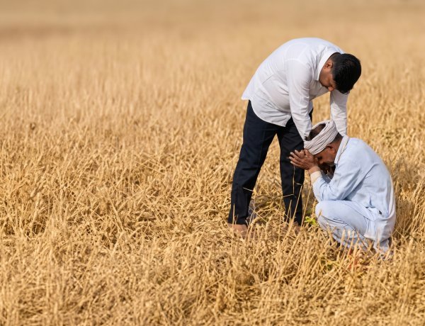 बारिश और ओलावृष्टि से कई राज्यों में फसलों को नुकसान, किसानों को मुआवजे की मांग
