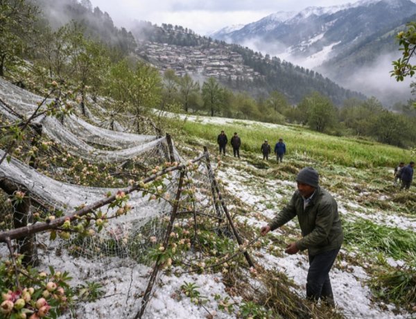 उत्तराखंड में ओलावृष्टि का कहर: बागवानी और खेती को भारी नुकसान, तत्काल मुआवजे की मांग