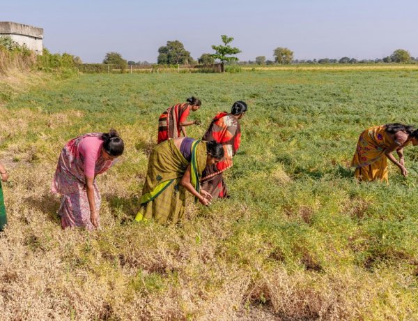 कांग्रेस नेता नरेश कुमार का दिल्ली की मुख्यमंत्री रेखा गुप्ता पर निशाना, कहा किसानों के मुद्दों पर दोहरा रवैया अपना रही हैं सीएम