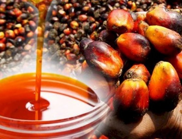 कीमतों में तेजी से मार्च में पाम ऑयल आयात तीन महीने के निचले स्तर पर, लेकिन सनफ्लावर ऑयल में तेजी