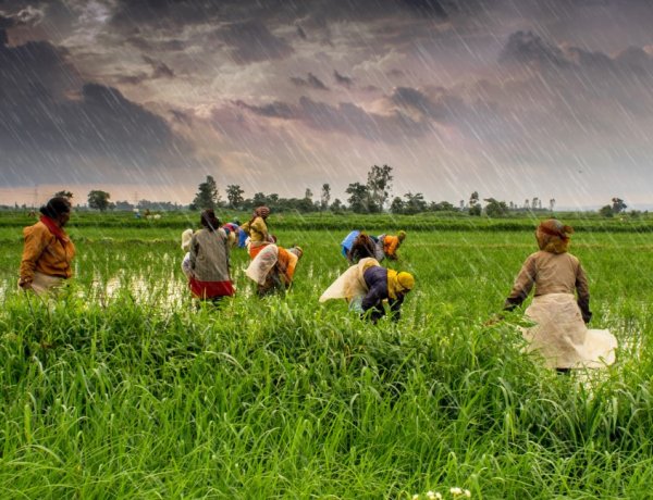 मौसम विभाग का इस वर्ष सामान्य से कम मानसून का अनुमान, खरीफ उत्पादन और महंगाई को लेकर बढ़ी चिंता