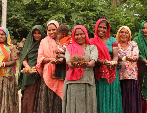 राजस्थान में महिलाओं के लिए प्रत्येक ग्राम पंचायत में होंगे कृषि प्रशिक्षण कार्यक्रम