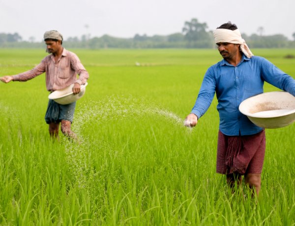उर्वरक खपत घटाने पर जोर: देशव्यापी मैपिंग पूरी, किसान आईडी के जरिये डायवर्जन रोकने की तैयारी