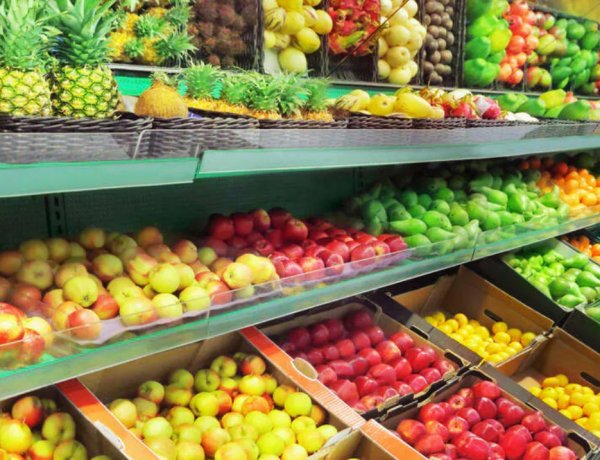 भारत-न्यूजीलैंड एफटीए: कृषि और डेयरी क्षेत्र के लिए सरकारी दावों में इतना अंतर क्यों?