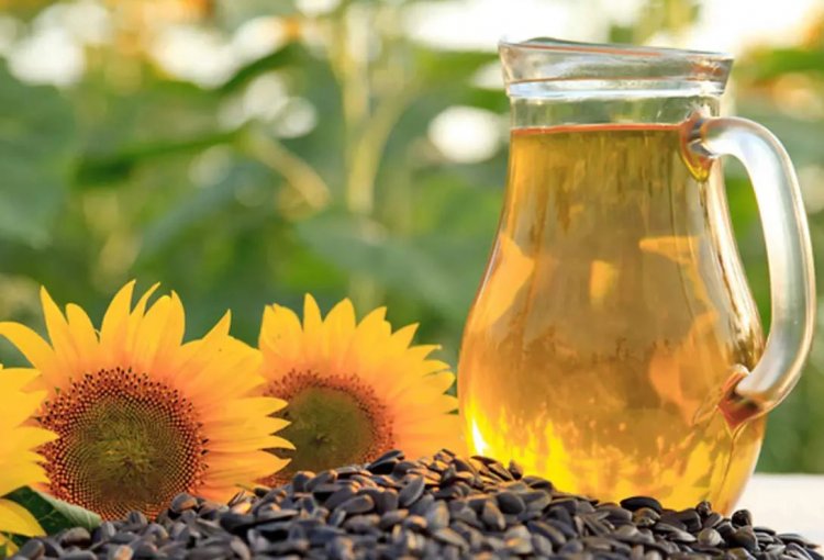 भू-राजनीतिक तनाव के बीच भारत में सूरजमुखी तेल की खपत में 10% गिरावट की आशंका